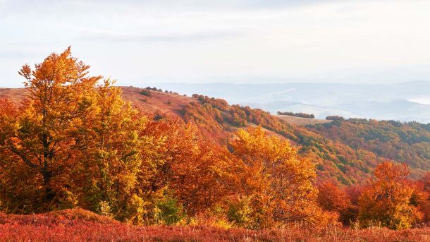 Men&rsquo;s Bodyland Autumn Glow Massage